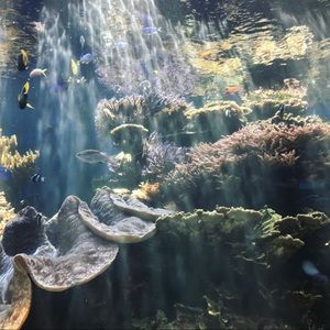 Meet your Posher, Claire